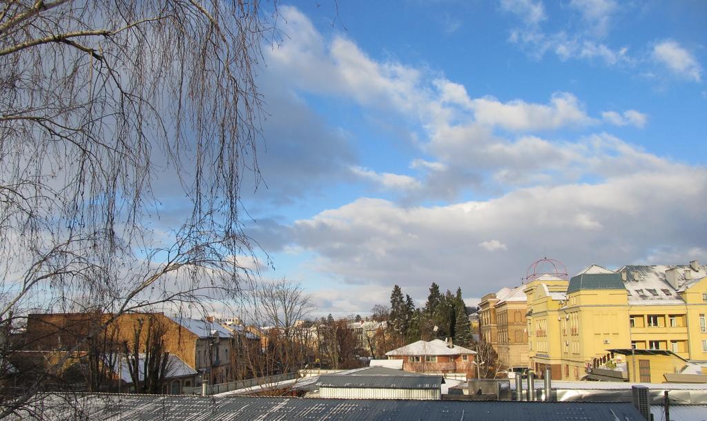 אוזהורוד Mini-Hotel Na Pidgradskiy מראה חיצוני תמונה