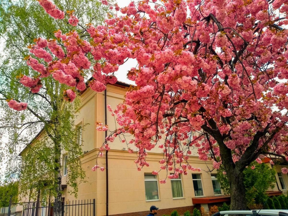 אוזהורוד Mini-Hotel Na Pidgradskiy מראה חיצוני תמונה